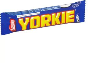 Yorkie